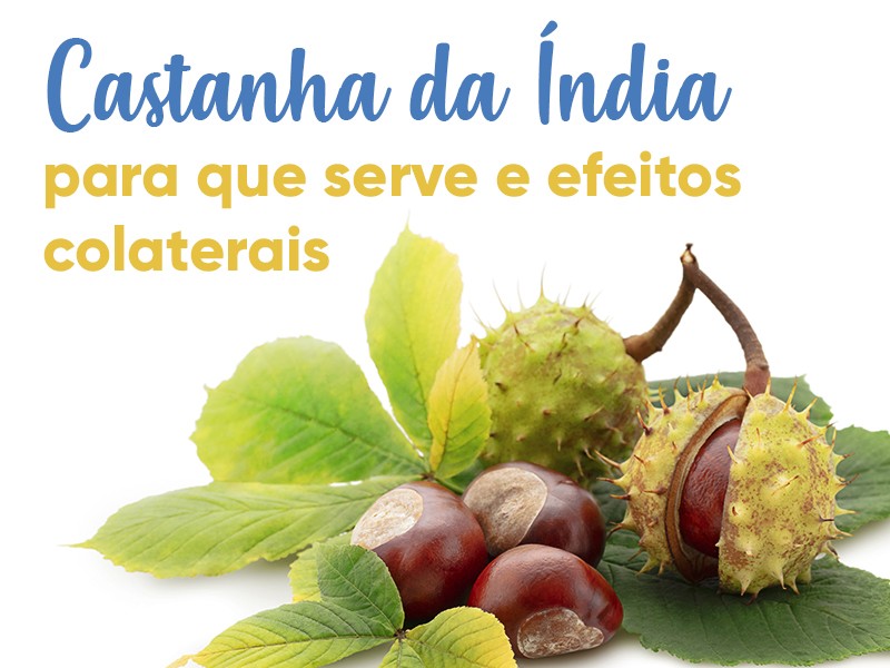 Castanha da Índia: para que serve e efeitos colaterais
